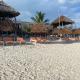 Luwa Beach&Suits, Watamu - Fotografie 7
