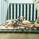 Hundefreundliche Ferienwohnungen Brombachsee, エンダンドーフ - 写真 2