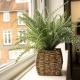 Cheam Village Self Contained Flat & studio, Cheam (fotografie 8)