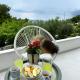 Olive View Apartment Brela - pet friendly, Brela - Fotografie 3