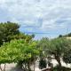 Olive View Apartment Brela - pet friendly, Brela - Fotografie 2