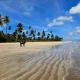 Romantic Sea Villa w/AMAZING SEA VIEW - DIRECTLY ON THE BEACH!, Maceió - Fotografie 10