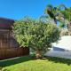 Bayside Bliss Studio Apartment, Summerstrand (foto 2)