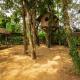 Neelambari Ecotoursm, Thrissur - Foto 8