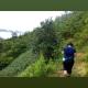 Puluonghomestay2, Làng Cào (foto 8)