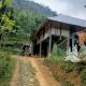 Puluonghomestay2, Làng Cào (foto 7)