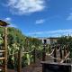 Ostrich cottage at Les Wings private game farm, Jongensfontein (photo 6)
