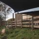 White Pine Bush Cabins, Otangihaku (fotografie 7)