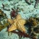 Splendid San Blas - All Inclusive, Playón Chico - Fotografie 7