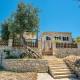 Villa Lenio Paxos, Anemogiannátika (foto 6)