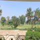 pyramid view inn, Kairo - Foto 10