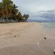 Cabaña frente al mar islas de San Blas icodub, Achoertupo - Zdjęcie 9