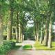 De Appelhoeve, Terschuur (fotografie 3)
