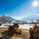 Langerbauer-Hof inkl. Chiemgaukarte, Ruhpolding - Zdjęcie 5