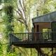 Te Aka Treehouse, Nelson Creek