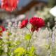 Pension Gulla - Ferienhaus Appartements B&B, Neustift im Stubaital (zdjęcie 7)