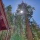 A-Frame Cabin in The Sequoias, Wofford Heights - Fotografie 9
