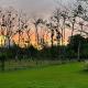 Casa Roble Fortuna, Фортуна - Фото 6