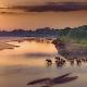 Msandile River Lodge, Kakumbi (foto 8)