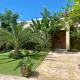 Modern 4BR Villa with Private Pool walk to Palm Beach, Palm-Eagle Beach (foto 7)
