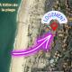 Dune Dreamer - Appartement beach front