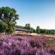 Camping Sonnenberg, Faßberg - 写真 7