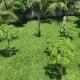 Shimba Springs Bustani (Malindi), Sinoia - Fotografie 4