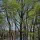 Quiet cottage on wooded property, Lusby (fotografie 4)