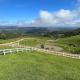 Rancho Sol Poente - Rancho Queimado - SC, Rancho Queimado - Fotografie 10