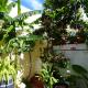 Hostal Campo Nuevo, Sanlúcar de Barrameda (fotografie 7)