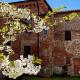 Il Corvo Viaggiatore, Solarolo Monasterolo (fotografie 7)