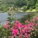 Willowbrooke Cottage, Himeville (foto 4)