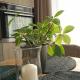 Apartments with a balcony and an impressive terrace on the roof of the house - PRIVATE FREE CAR PARKING, Vilnius (foto 5)