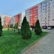Apartament modern Ared UTA, Αράντ - Φωτογραφία 8