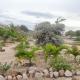 Villa Nature, Toliara (foto 4)