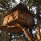 Pemsee's Tree Town - Eco Treehouse Hostel, Sauraha