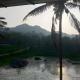 Souparnika Lakeview Homestay LLP, Wayanad - Foto 6