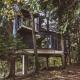 Treehouse Karpacz - Magiczne domki na drzewie w Karpaczu - wyjatkowy nocleg blisko natury, Karpacz (foto 2)