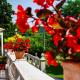 Residence Villa Bottacin, Trieste (foto 9)