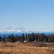 Bluff Hideaway - Guest House, Homer (foto 6)