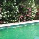 17th Century Stone House, Pool, Air-Conditioned, Le Rouret (fotografie 3)