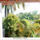 Villa Swell Surf, Hikkaduwa (fotografie 7)