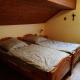 Ferienwohnung Breuer, Plittersdorf - 写真 6