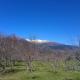 Parque Vera Cabaña 1, Melipeuco (zdjęcie 5)