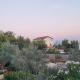 Villa Torovi - pool oasis, Vir (photo 3)