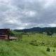 White Pine Bush Cabins, Otangihaku (fotografie 10)