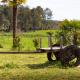 O Rincón de Esther, Vedra (fotografie 4)