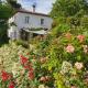 Lou Pantai, Bed and breakfast, small double Bedroom, Aix-en-Provence (fotografie 2)