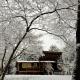 Farmview Cottage at White Lotus Eco Spa Retreat, Stanardsville (fotografie 6)