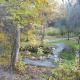 River Retreat Cabin in Three Rivers - near SNP, Three Rivers (foto 6)